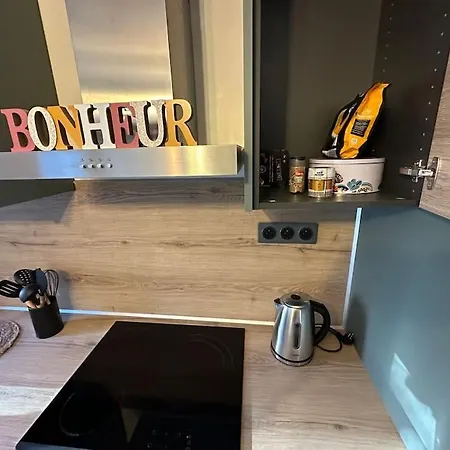 아파트 Magnifique F3. 4 A 6 Personnes